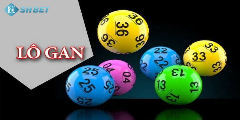 Banner www.viwase.vn