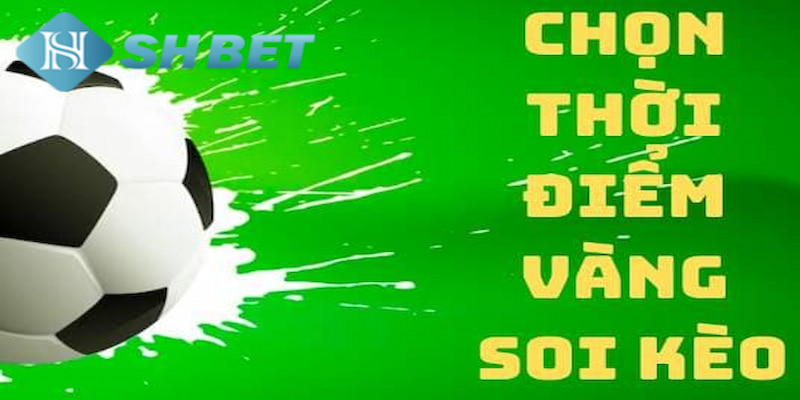 Banner www.viwase.vn