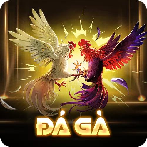 Banner www.viwase.vn