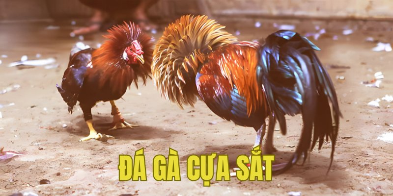 Banner www.viwase.vn