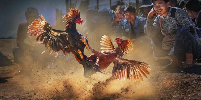 Banner www.viwase.vn