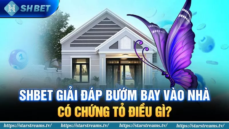 Banner www.viwase.vn