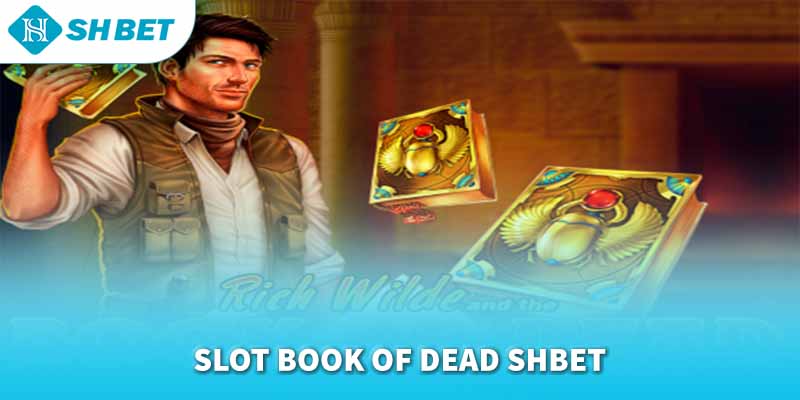 Banner www.viwase.vn