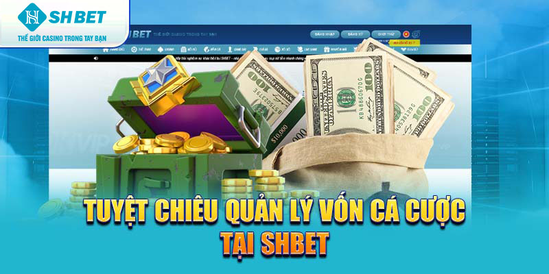 Banner www.viwase.vn