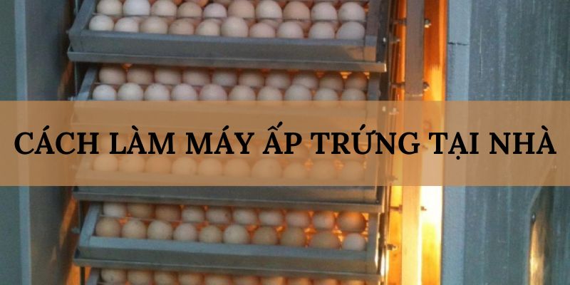 Banner www.viwase.vn