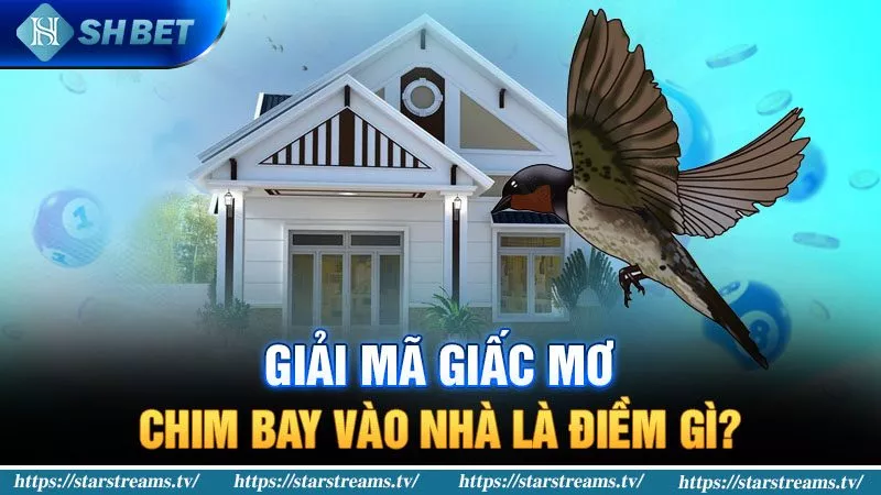 Banner www.viwase.vn