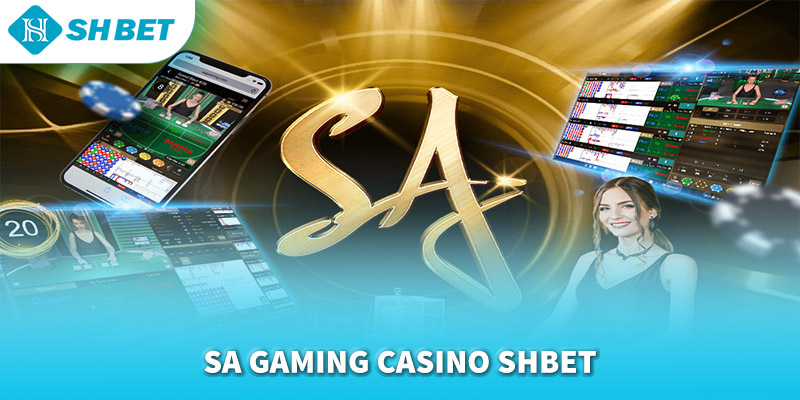 Banner www.viwase.vn